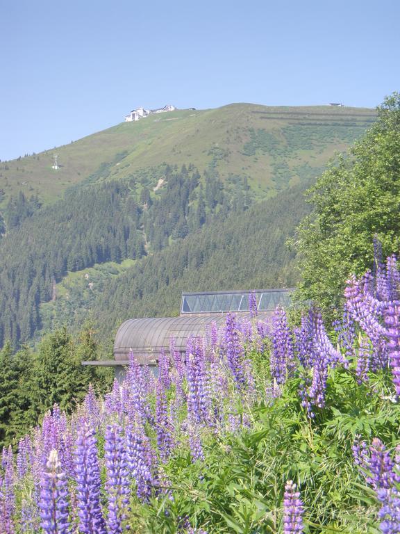 Appartement Schlosser Zell am See Værelse billede