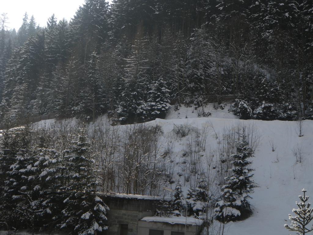 Appartement Schlosser Zell am See Eksteriør billede